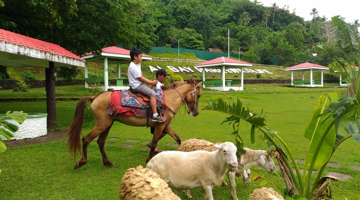 Albay 4 Albay Park and Wildlife