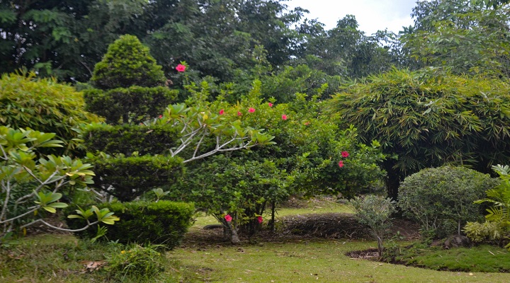 8 Naga City Ecology Park